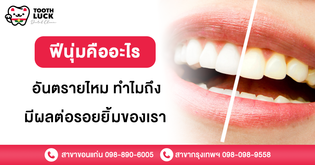 ฟีนุ่ม